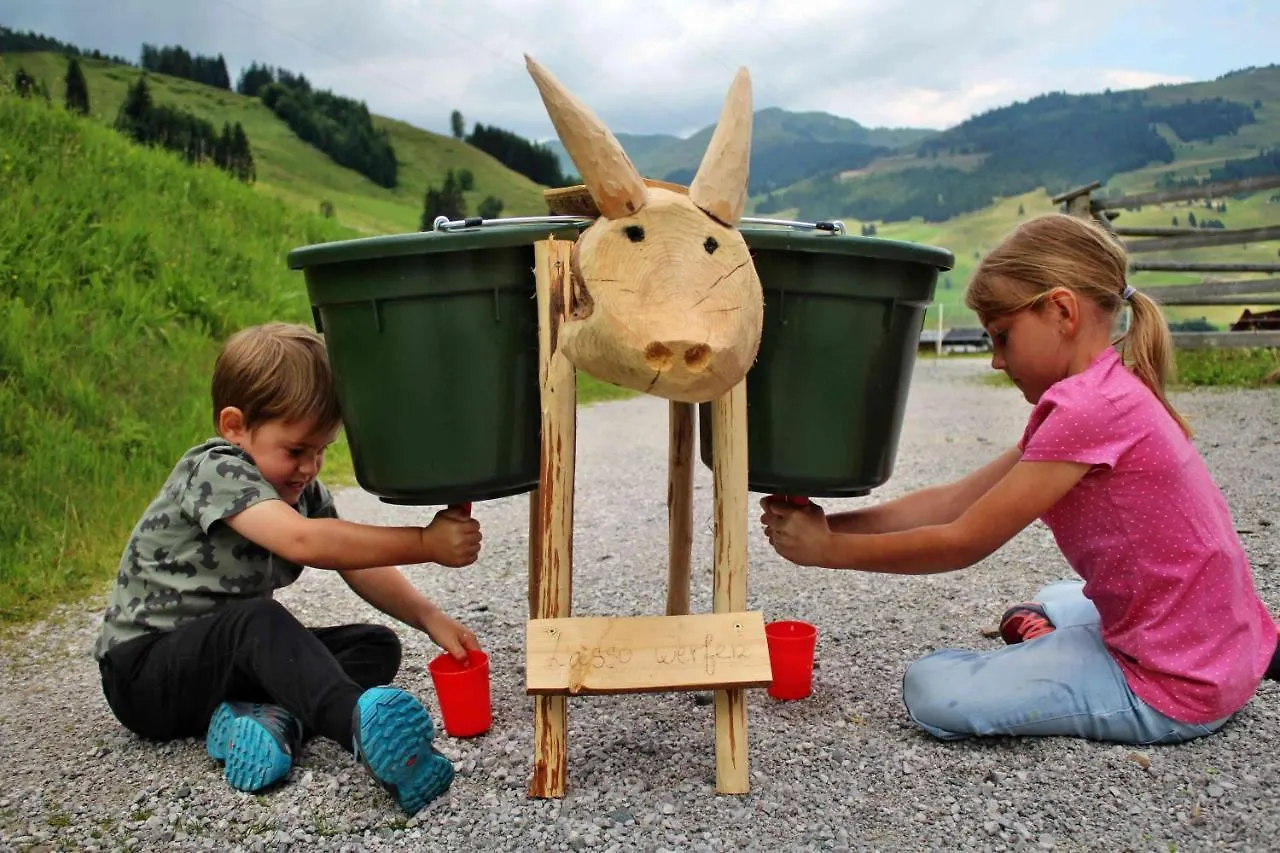 Bauernhof Hotel Oberschwarzach Saalbach-Hinterglemm